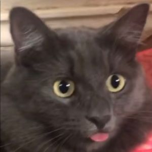 Meet your Posher, Christine